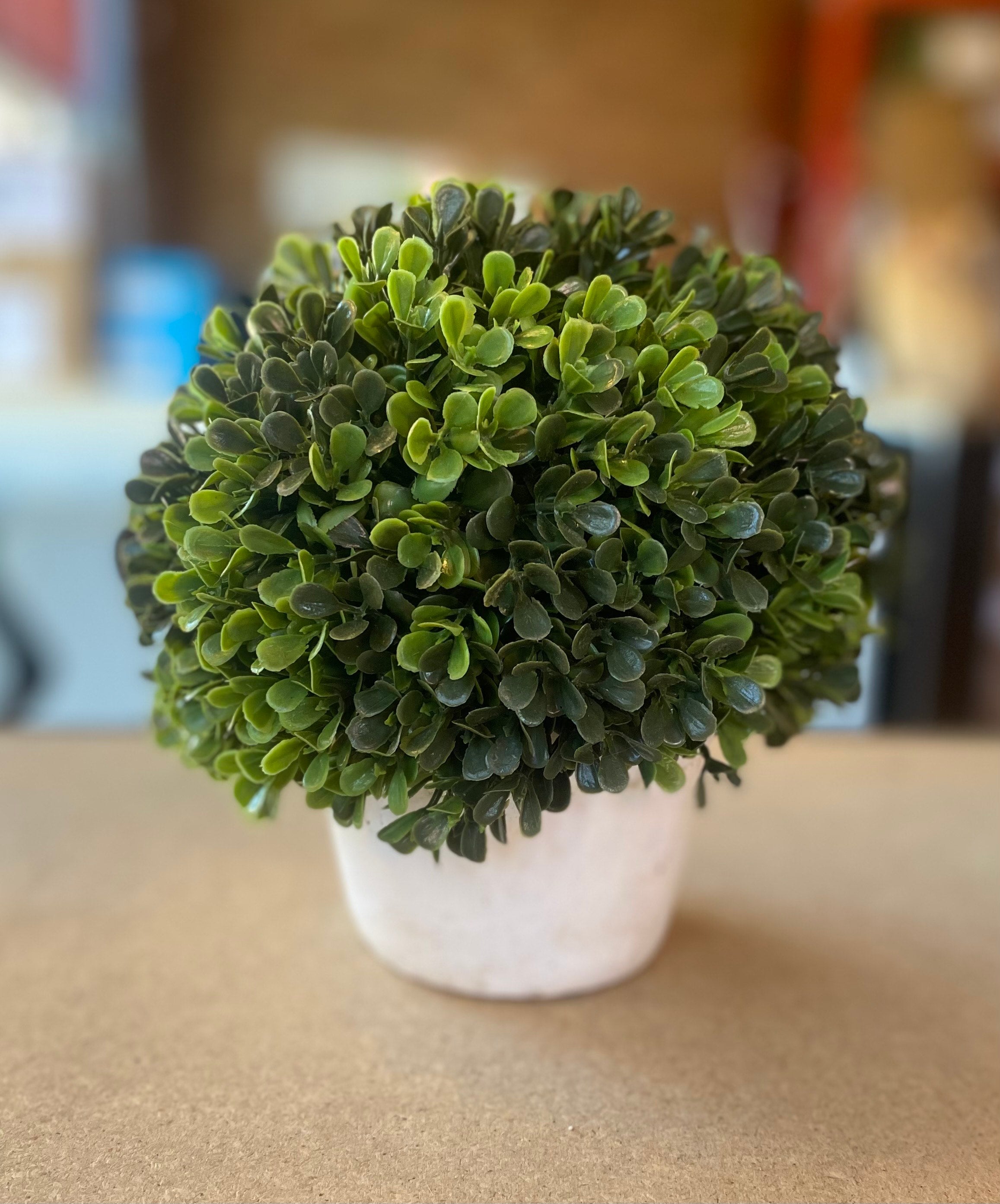 Faux Potted Boxwood Shrub