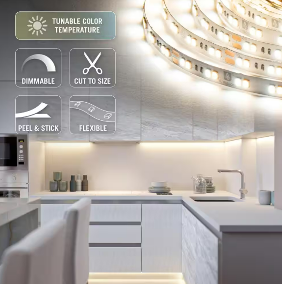 RibbonFlex Pro 24-Volt White CCT Tunable LED Tape Light