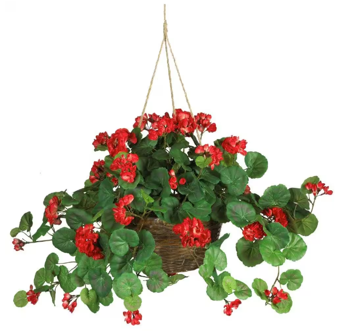 24 in. Artificial Geranium Silk Hanging Basket - Red