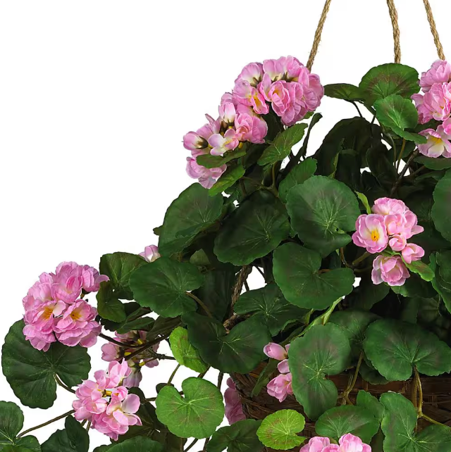 24 in. Artificial Geranium Floral Arrangment in Hanging Basket - Pink