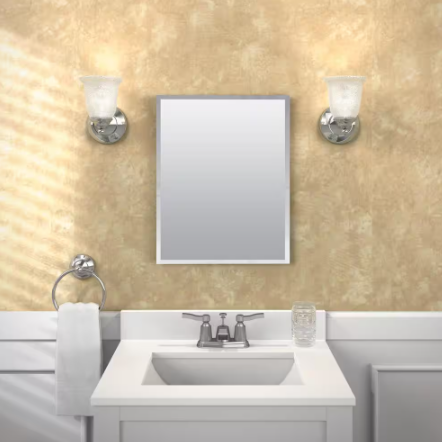 16 in. W x 20 in. H Rectangular Plastic Medicine Cabinet with Mirror