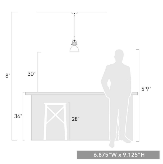 Golden Lighting Hines 1-Light Brushed Champagne Bronze Seeded Glass Shaded Pendant Light