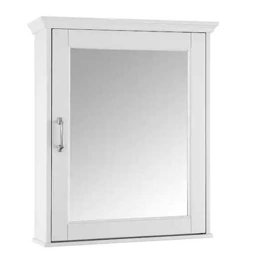 Home Decorators Collection Ashburn 23 in. W x 27.875 in. H Rectangular Medicine Cabinet with Mirror ASWC2328