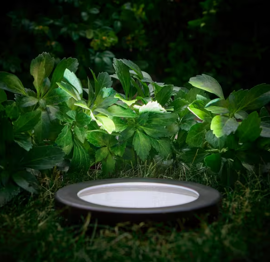 Hampton Bay 600 Lumen Low Voltage 6 in. Black LED Outdoor InGround Well Light Adjustable Light Color Integrated LED (1-Pack)