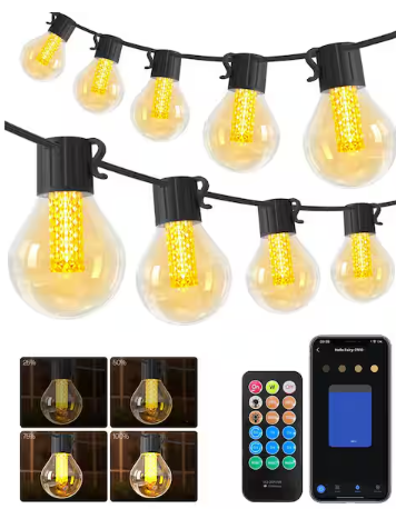AVATAR CONTROLS 50 ft. Smart Plug-In Dimmable Outdoor String Light with 25 LED G40 Bulbs 1-Pack