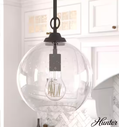 Hunter High Oaks 1-Light Noble Bronze Globe Pendant Light with Clear Seeded Glass Shade