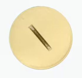Leviton Replacement Screw Cap with O-Ring for Duplex Outlet Floor Box, Brass 25249-CAP