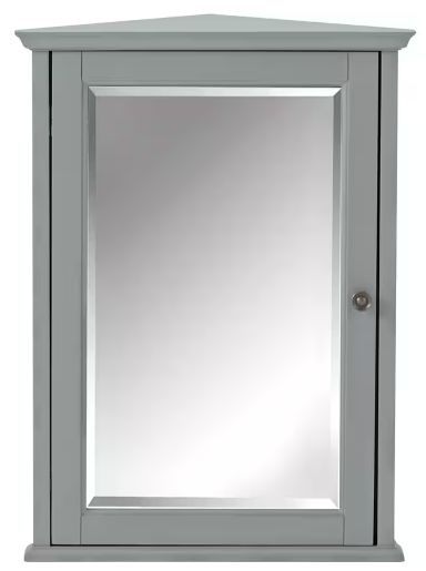 Hamilton 20 in. W x 27 in. H Rectangular Medicine Cabinet with Mirror