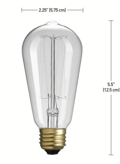 60 Watt ST19 Dimmable Cage Filament Vintage Edison Incandescent Light Bulb, Warm White Light (1-Pack)