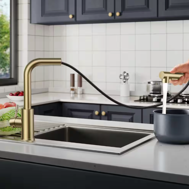 FORIOUS Single-Handle Kitchen Sink Faucet with Pull Down Sprayer Kitchen Faucet in Gold HH0025G