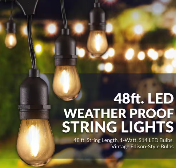 Newhouse Lighting Outdoor 48 ft. Plug-In S14 Edison Bulb LED String Light with Wireless 265W Dimmer, Remote Control, Extra Bulb, Black CSTRINGLEDDIM