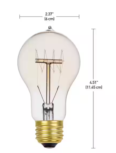 Globe Electric 60 Watt A19 Dimmable Cage Filament Vintage Edison Incandescent Light Bulb, Warm Candle Light