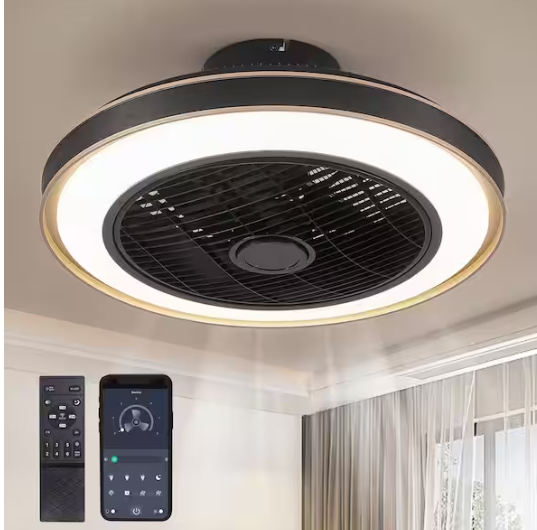 ANTOINE 20 in. Indoor Black Caged Enclosed Ceiling Fan with LED Light Modern Low Profile Ceiling Fan with Remote and APP Control
