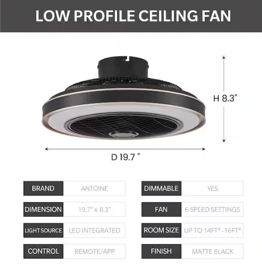 ANTOINE 20 in. Indoor Black Caged Enclosed Ceiling Fan with LED Light Modern Low Profile Ceiling Fan with Remote and APP Control
