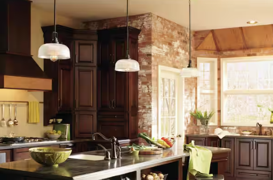 Progress Lighting Archie Collection 1-Light Venetian Bronze Pendant